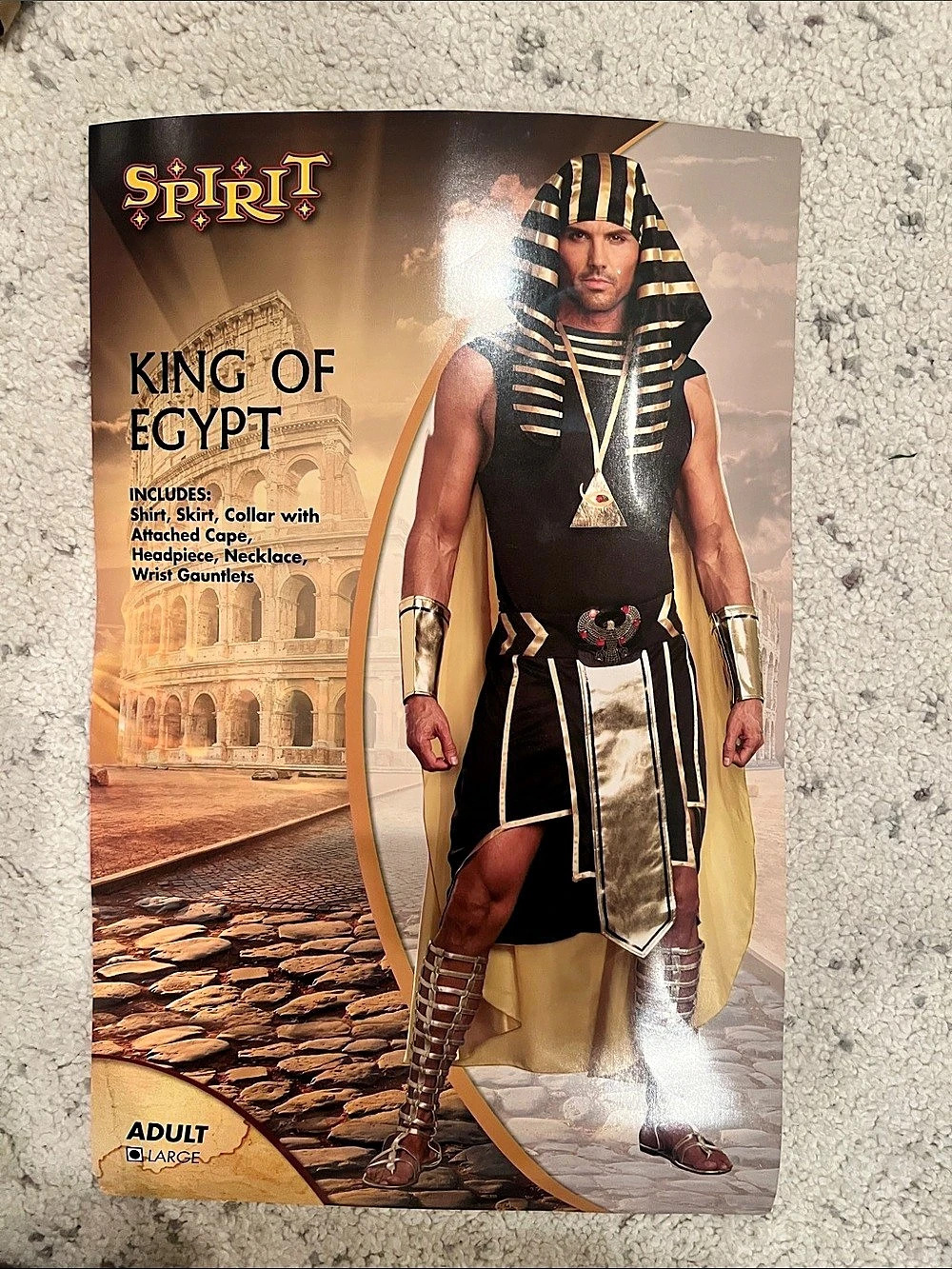 Spirit Halloween King of Egypt Black & Gold